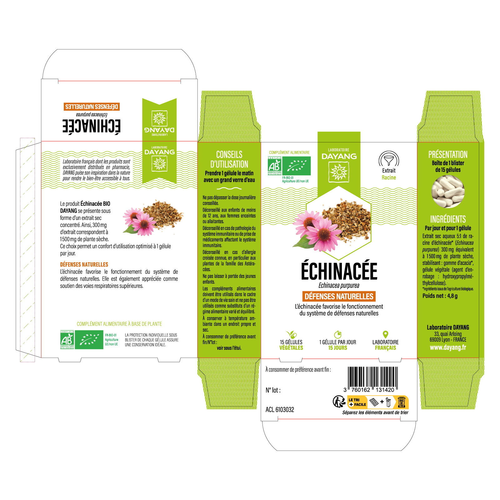 Echinacée BIO